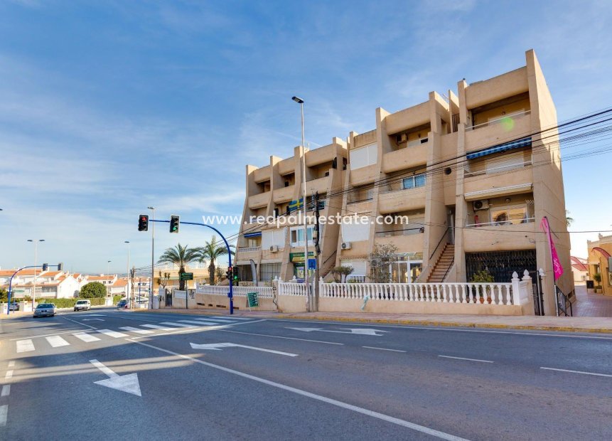 Reventa - Apartmentos -
Torrevieja - Cabo cervera