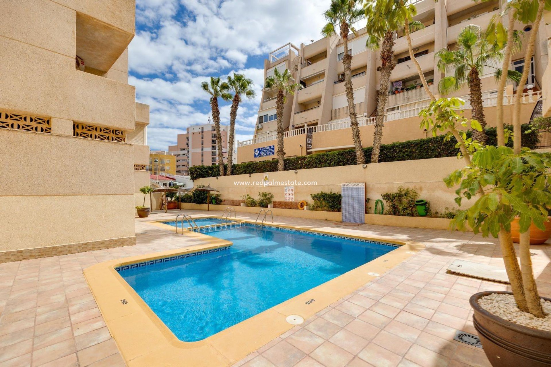 Reventa - Apartmentos -
Torrevieja - Cabo cervera