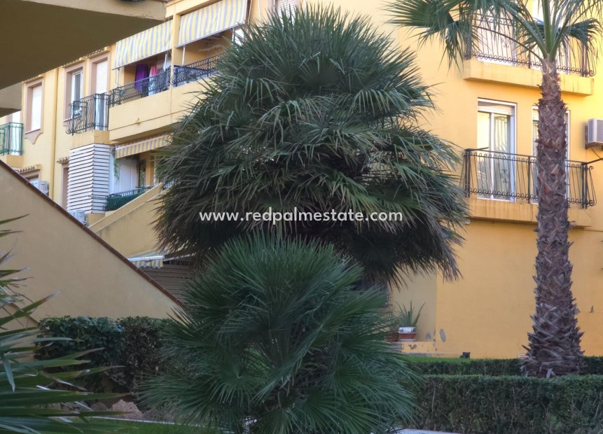 Reventa - Apartmentos -
Torrevieja - Cala Ferris