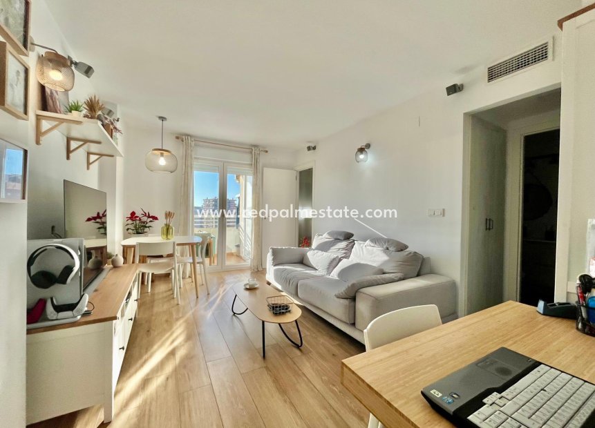 Reventa - Apartmentos -
Torrevieja - Calas blanca