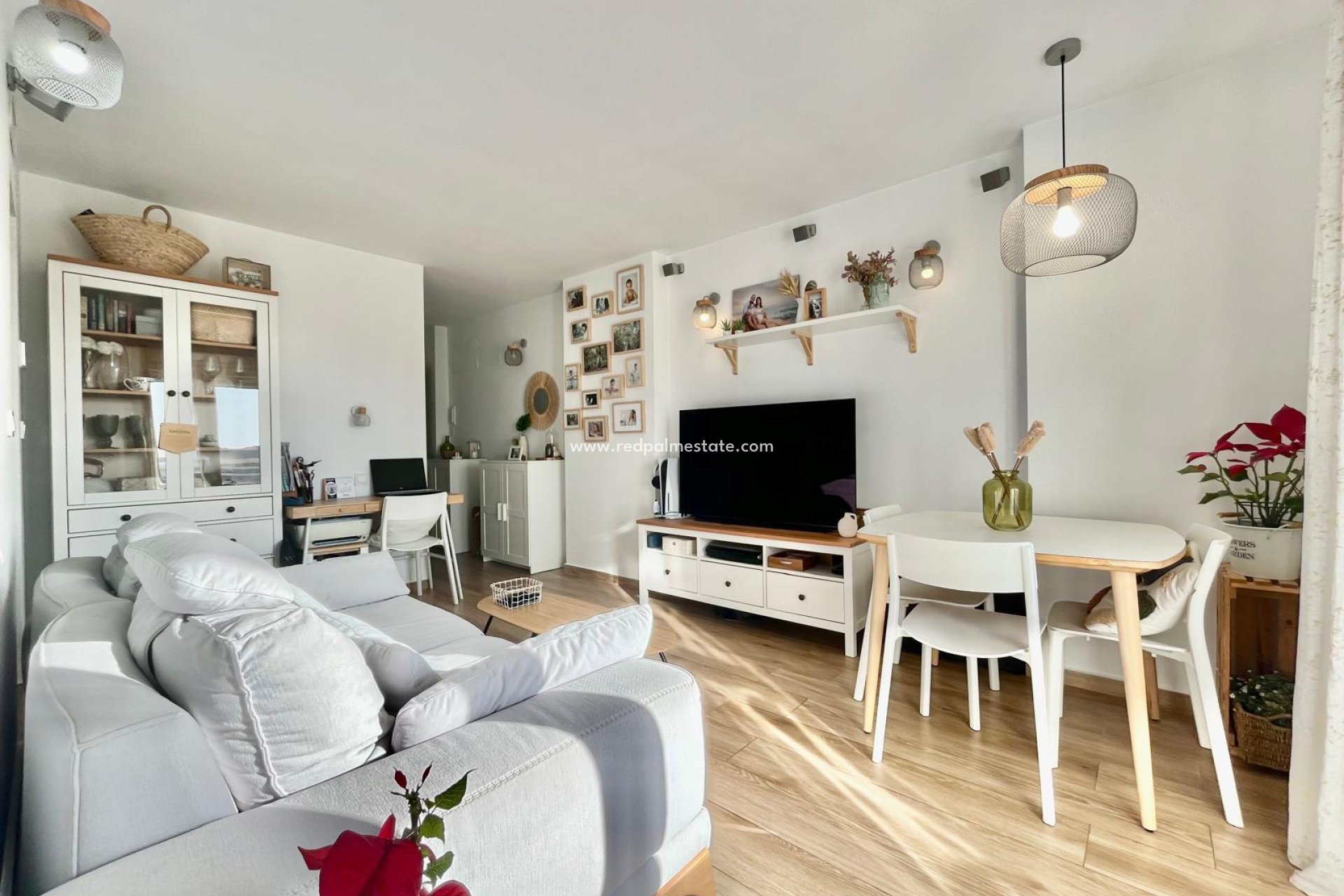 Reventa - Apartmentos -
Torrevieja - Calas blanca