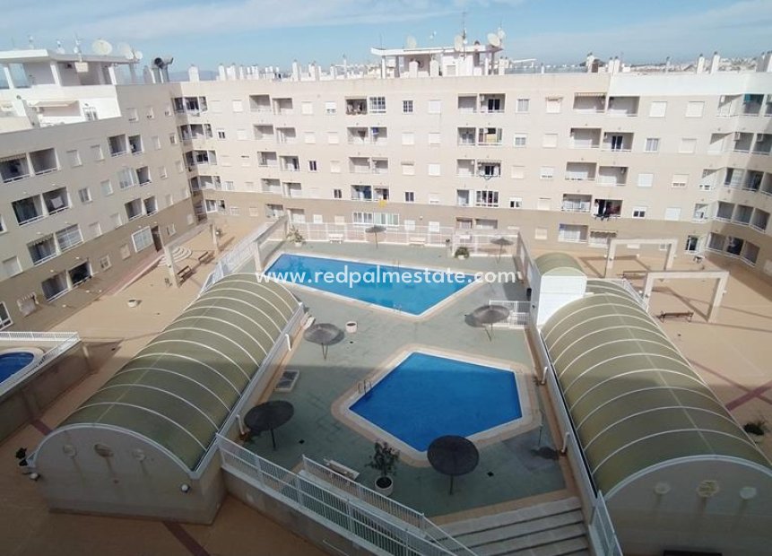 Reventa - Apartmentos -
Torrevieja - CASCO URBANO