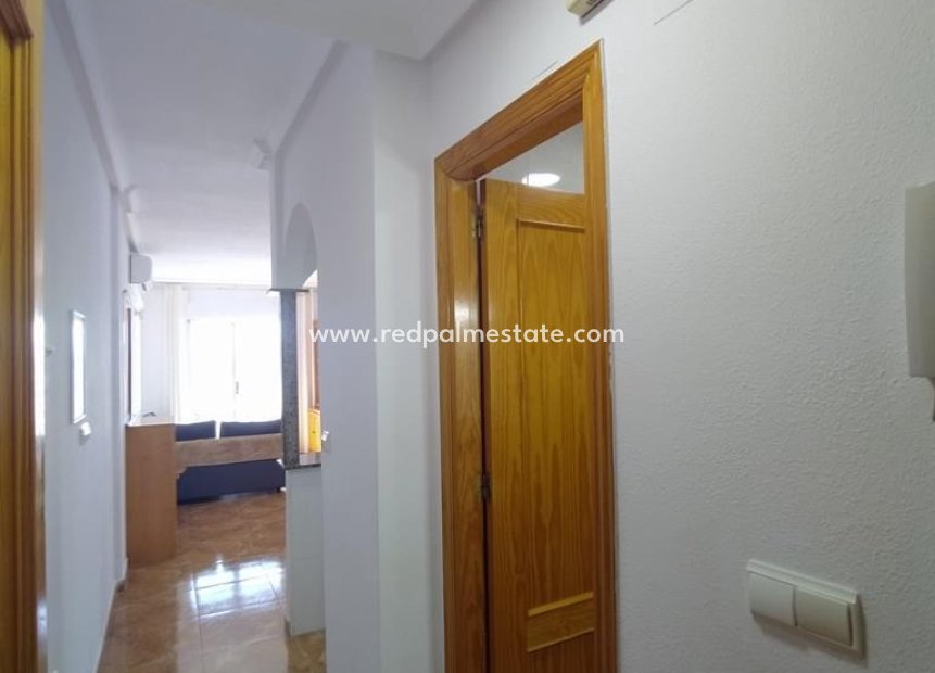Reventa - Apartmentos -
Torrevieja - CASCO URBANO