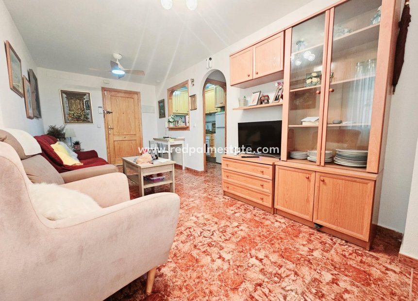 Reventa - Apartmentos -
Torrevieja - Center