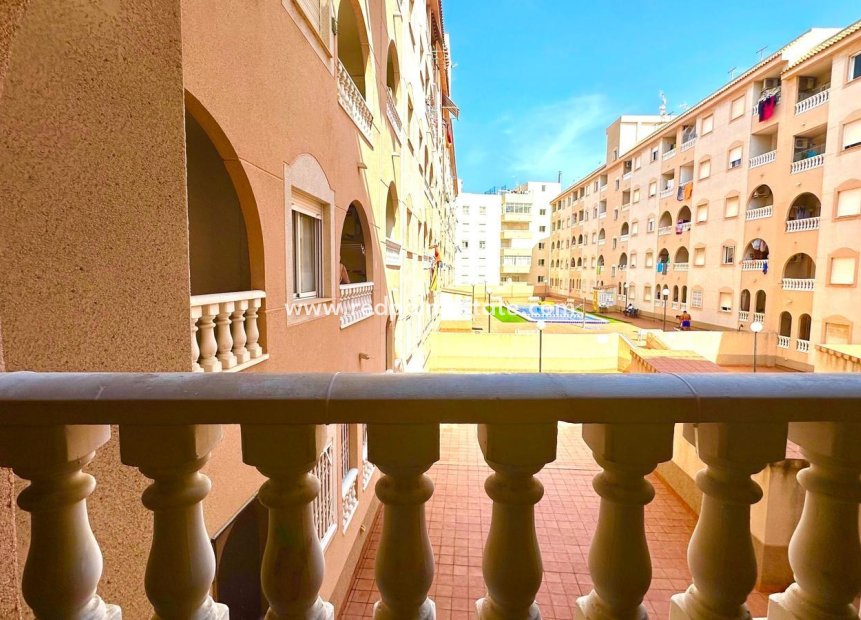 Reventa - Apartmentos -
Torrevieja - Center