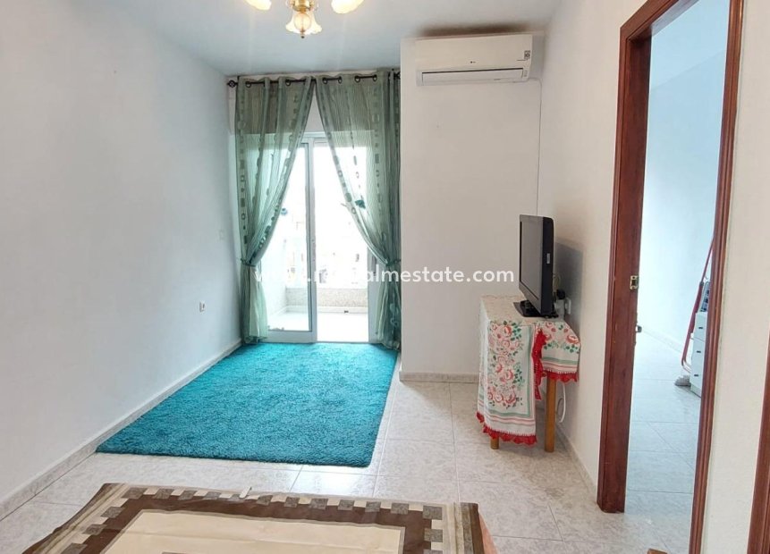 Reventa - Apartmentos -
Torrevieja - Center