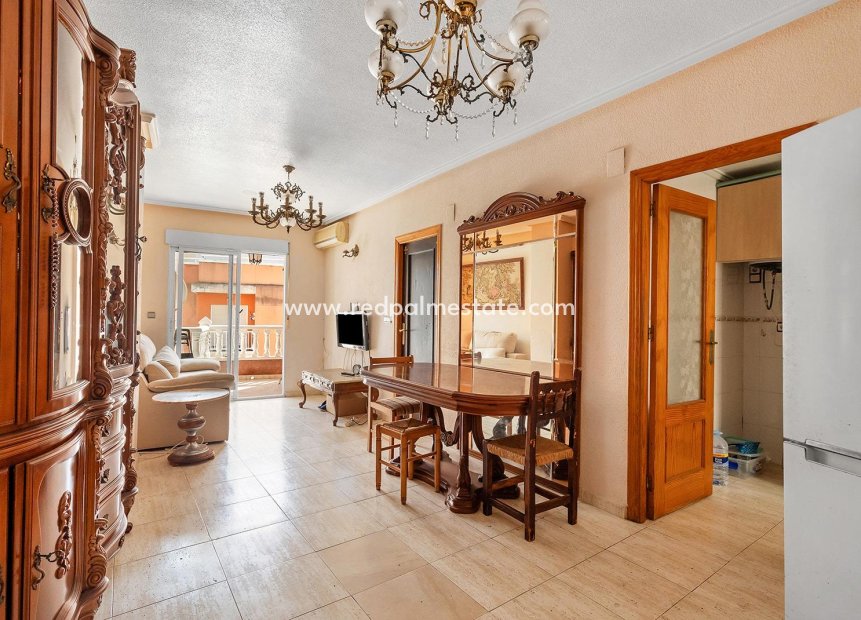 Reventa - Apartmentos -
Torrevieja - Center