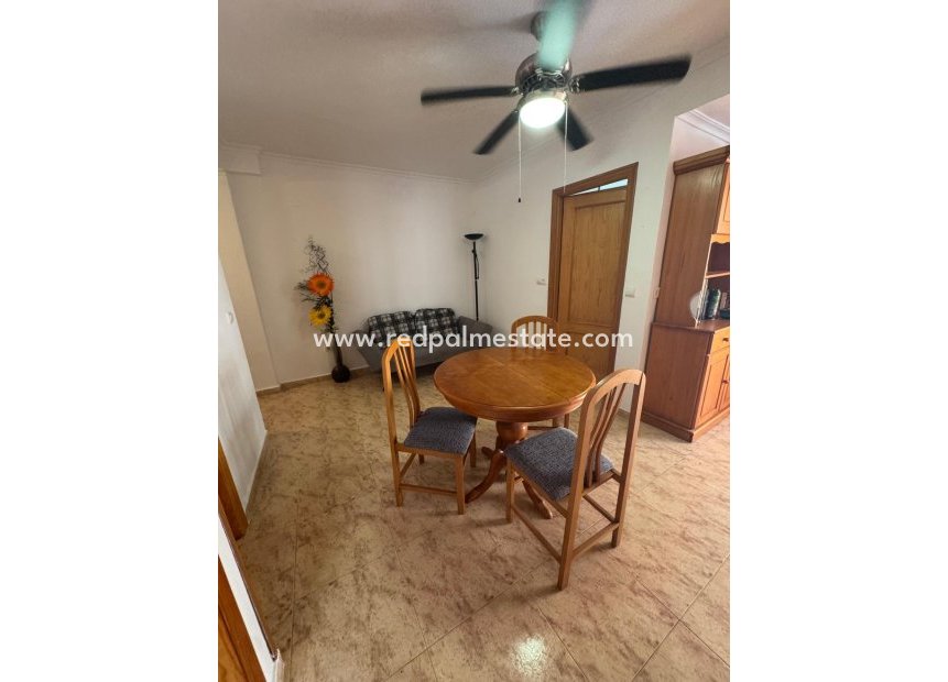 Reventa - Apartmentos -
Torrevieja - Center