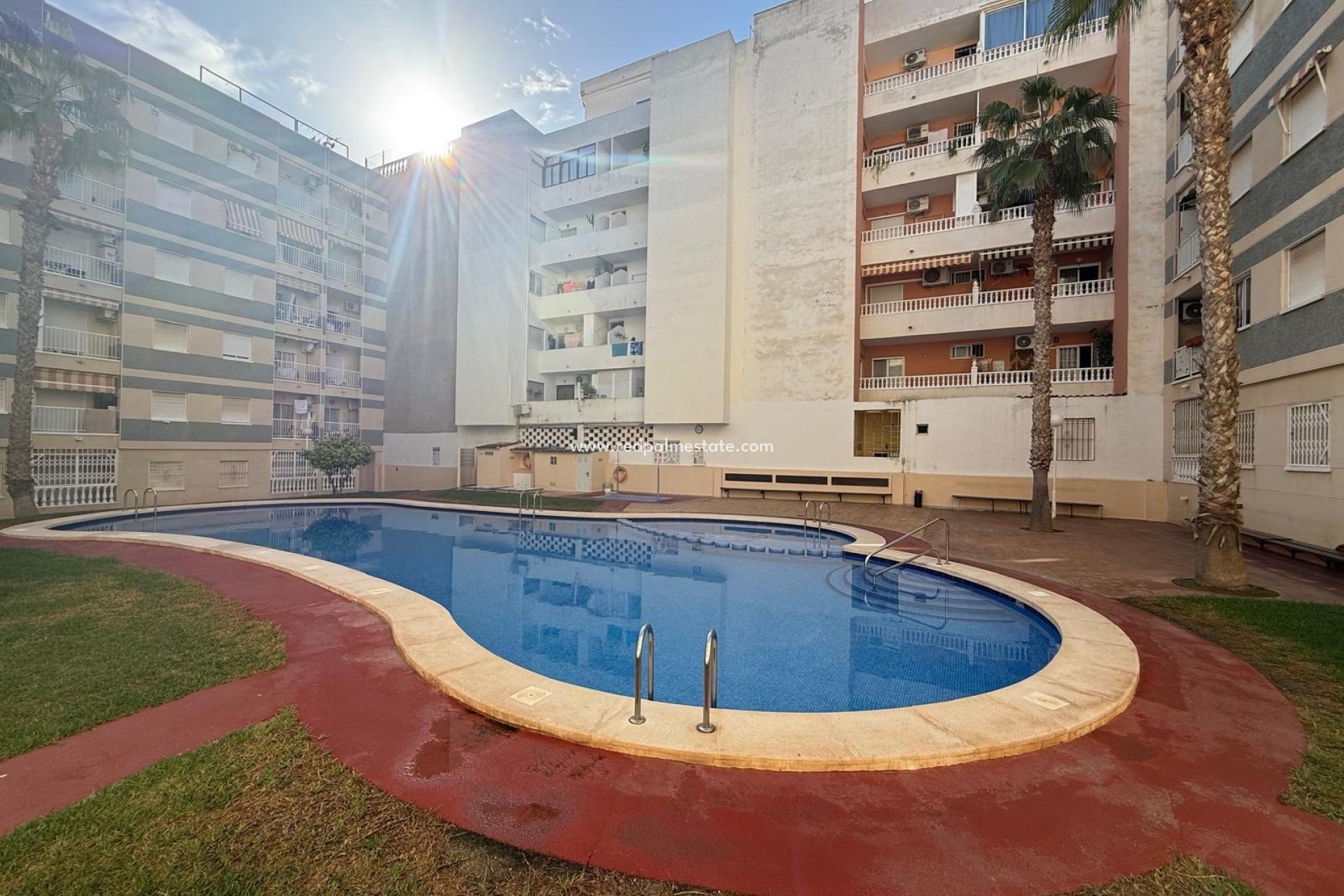Reventa - Apartmentos -
Torrevieja - Center
