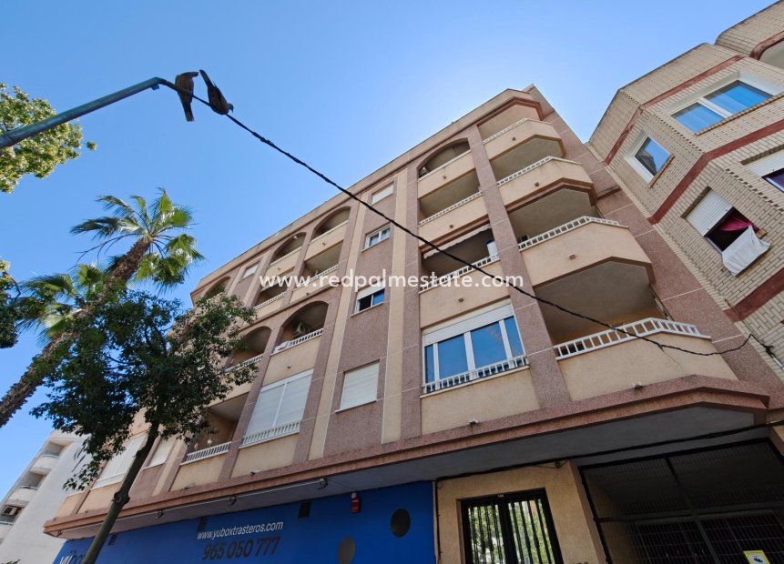 Reventa - Apartmentos -
Torrevieja - Center