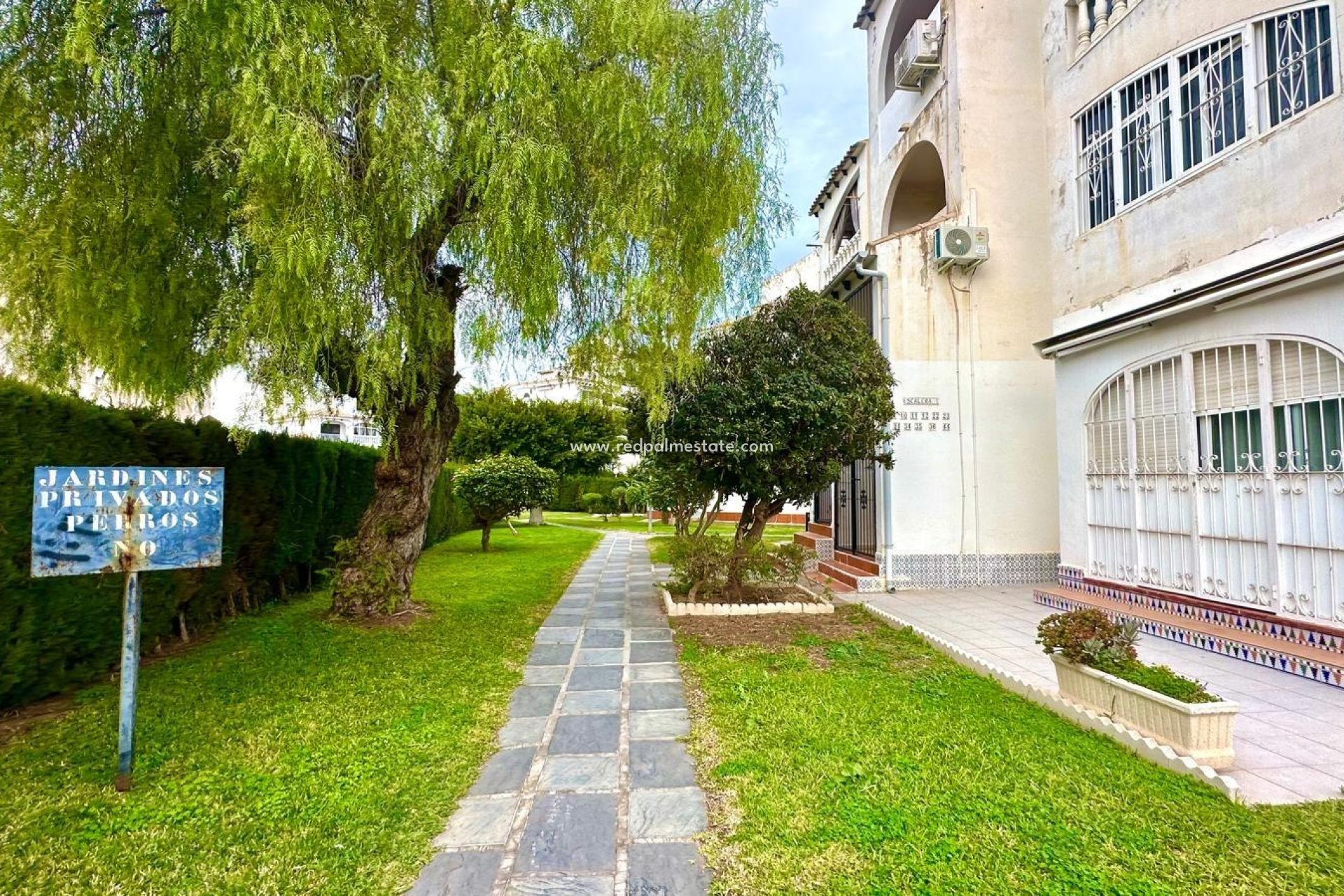 Reventa - Apartmentos -
Torrevieja - Center