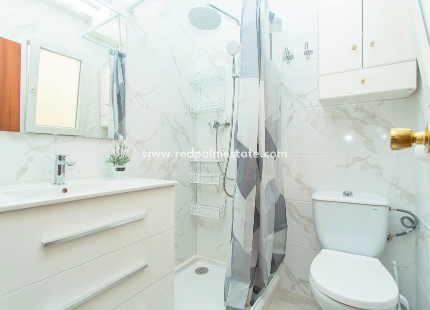 Reventa - Apartmentos -
Torrevieja - Centro-Muelle Pesquero