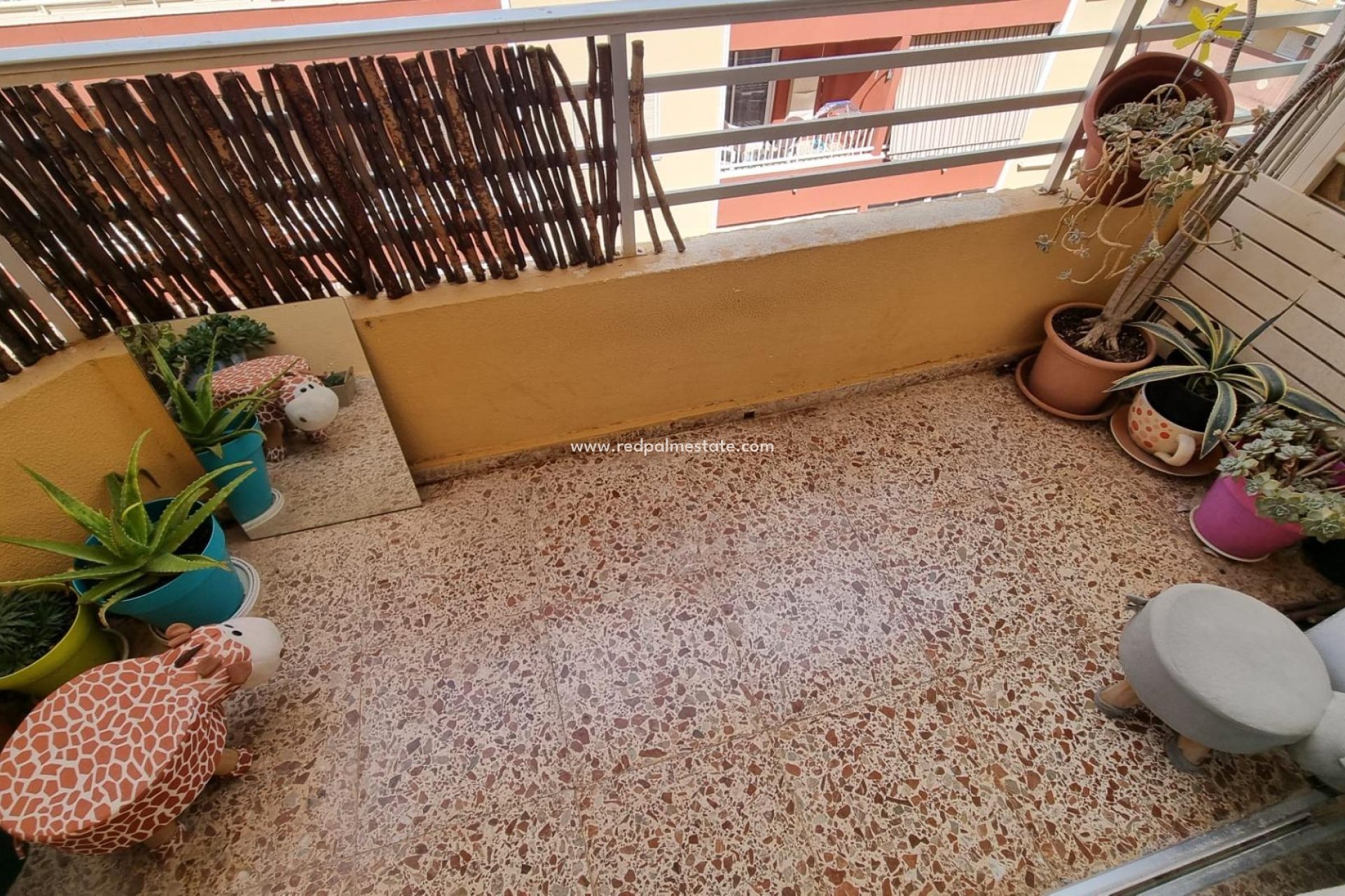 Reventa - Apartmentos -
Torrevieja - Centro Torrevieja