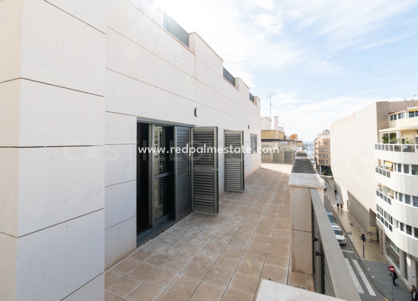 Reventa - Apartmentos -
Torrevieja - Centro Torrevieja