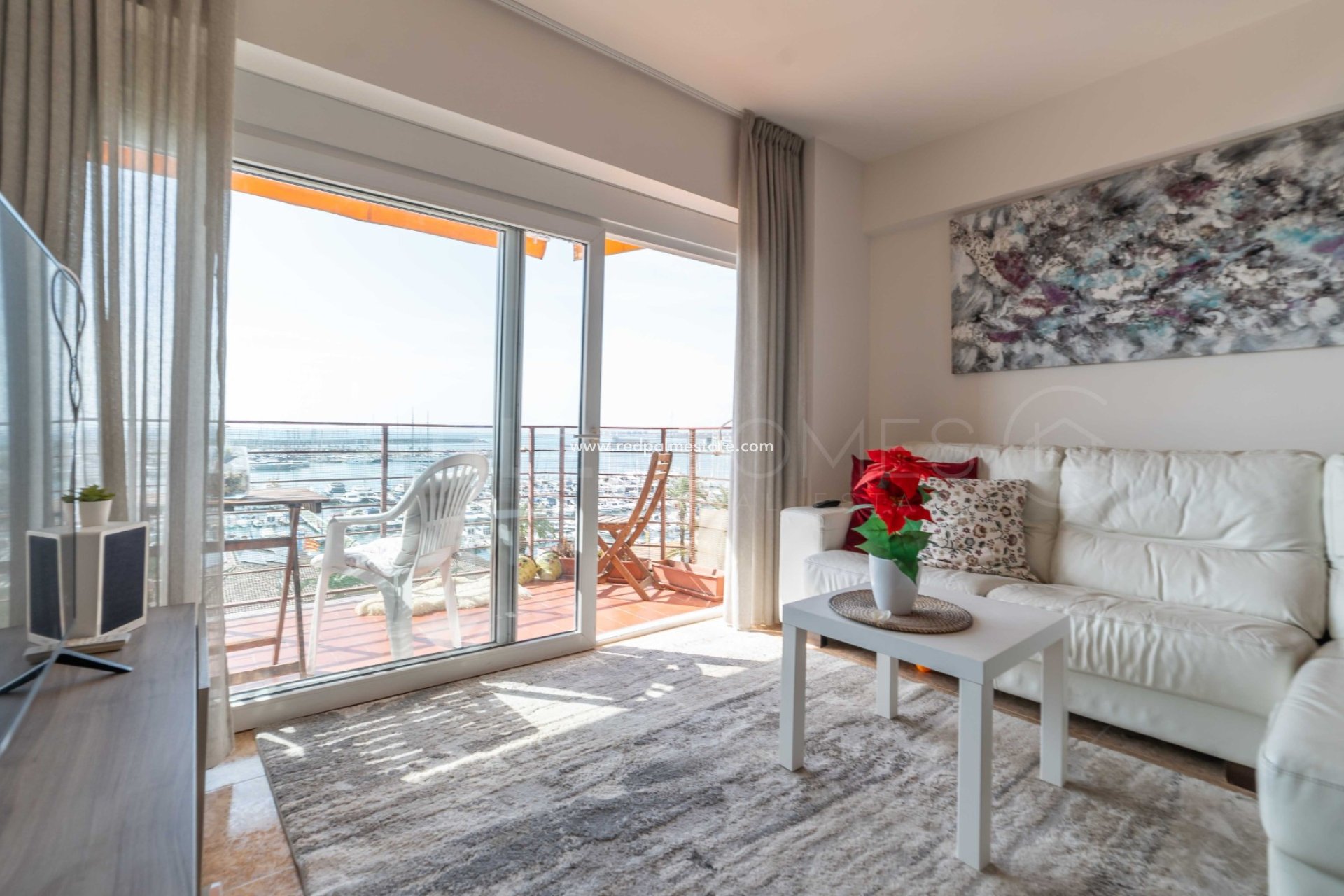 Reventa - Apartmentos -
Torrevieja - Centro Torrevieja