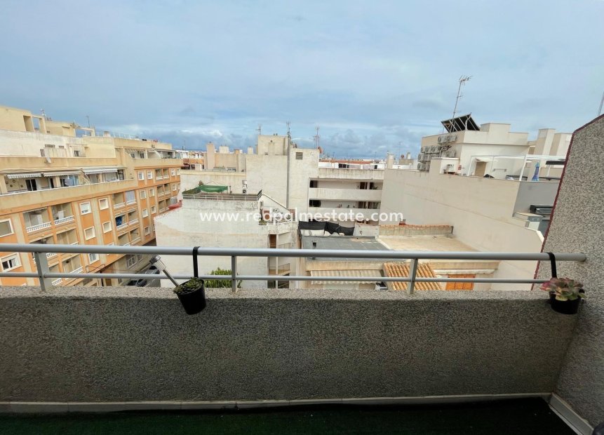 Reventa - Apartmentos -
Torrevieja - Centro Torrevieja