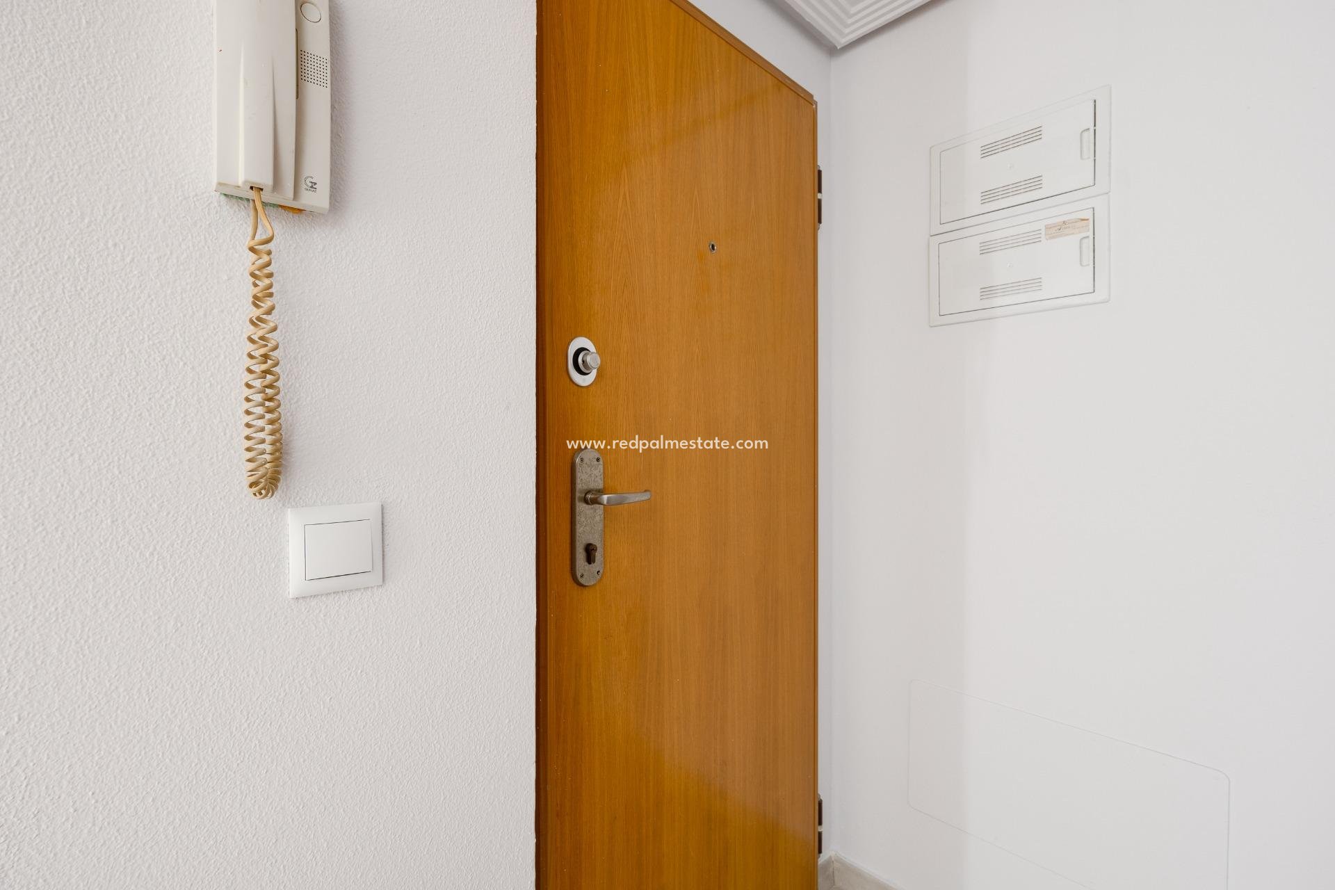 Reventa - Apartmentos -
Torrevieja - Centro Torrevieja