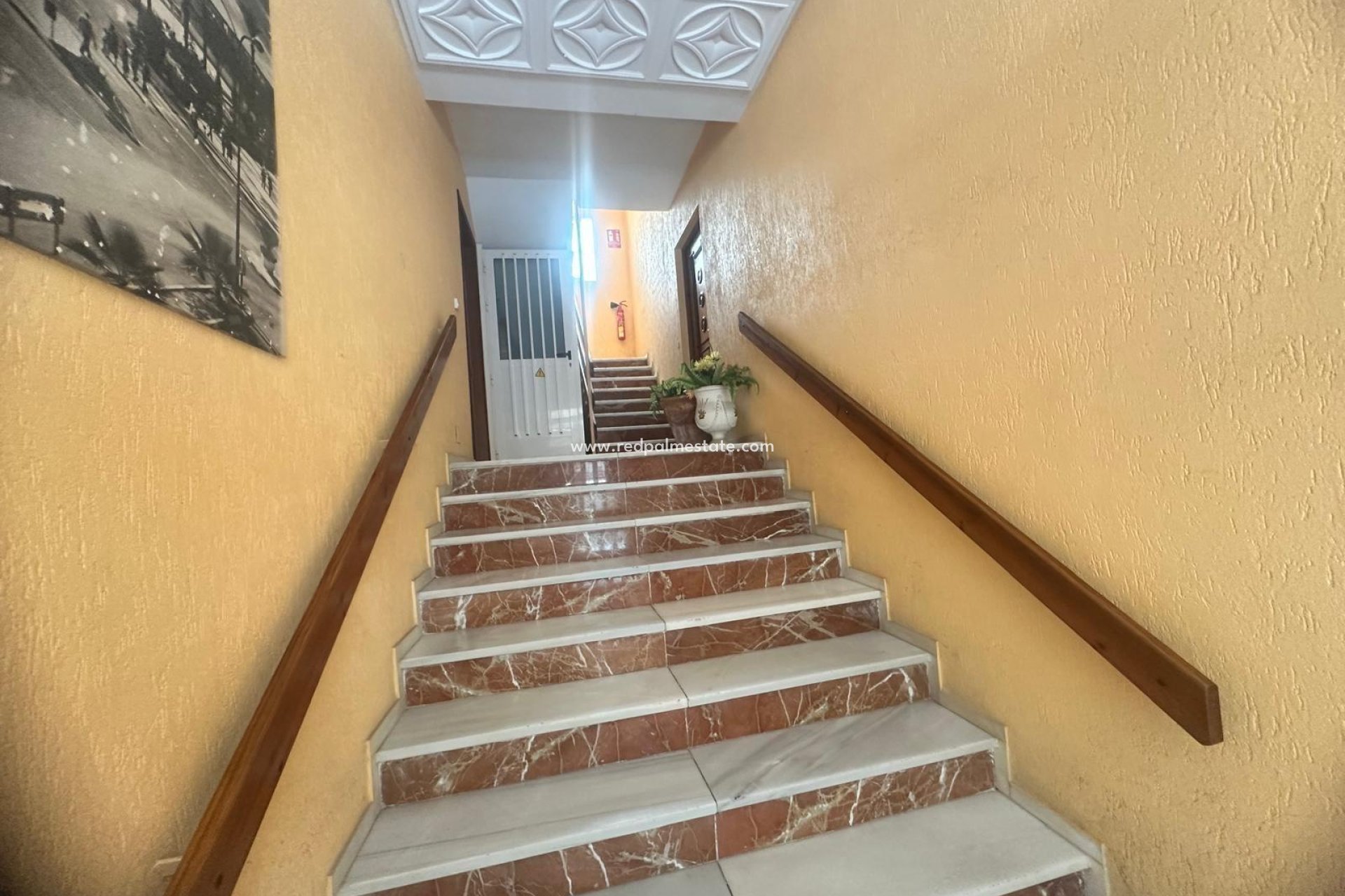 Reventa - Apartmentos -
Torrevieja - Centro Torrevieja