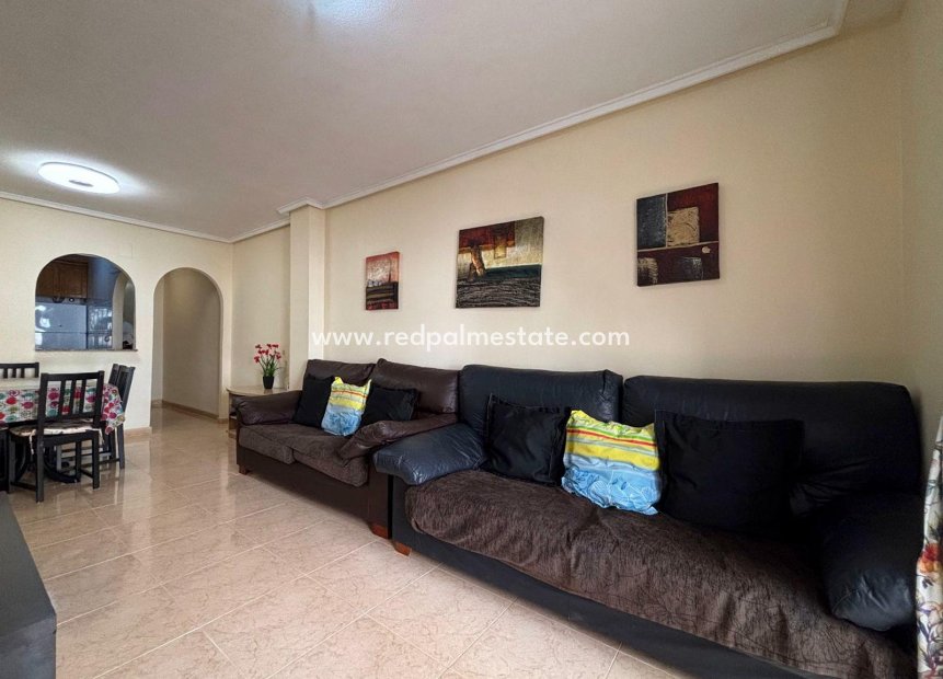 Reventa - Apartmentos -
Torrevieja - Centro Torrevieja