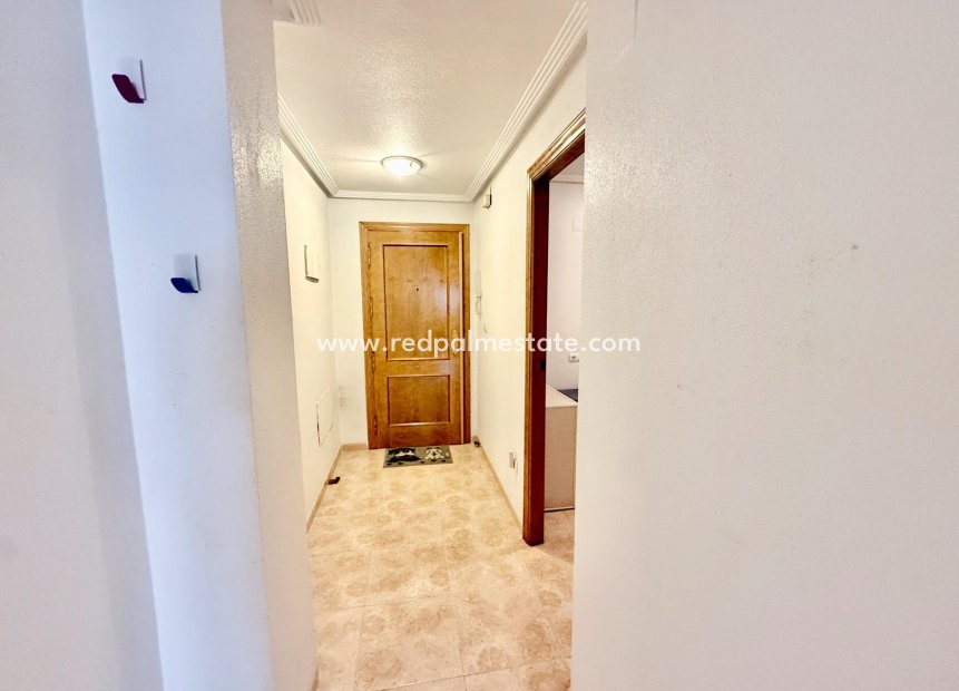 Reventa - Apartmentos -
Torrevieja - Centro Torrevieja