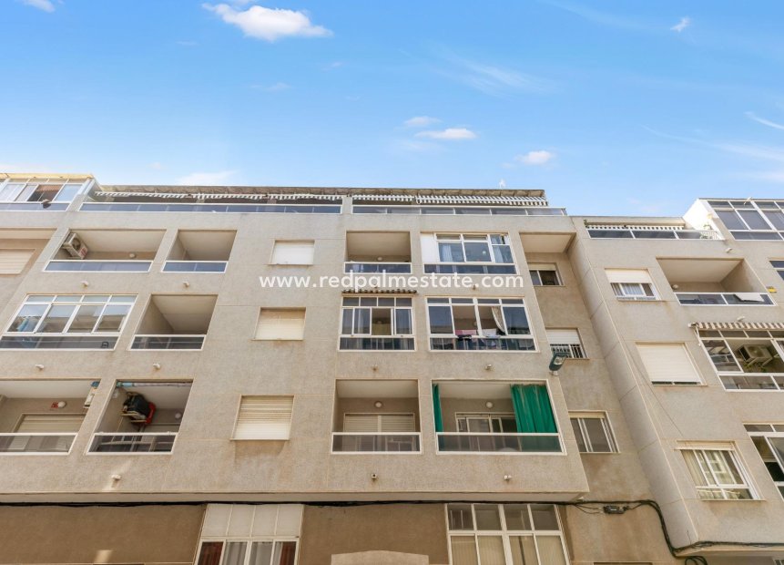 Reventa - Apartmentos -
Torrevieja - Centro Torrevieja