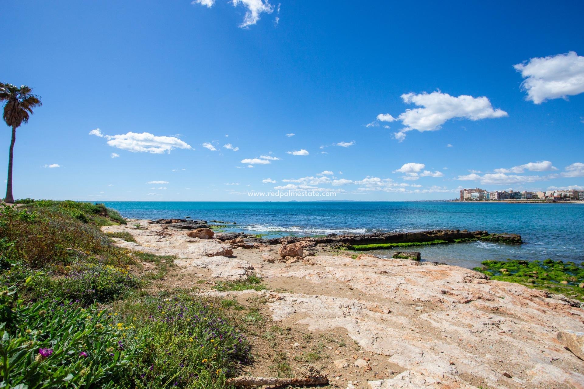 Reventa - Apartmentos -
Torrevieja - Centro Torrevieja