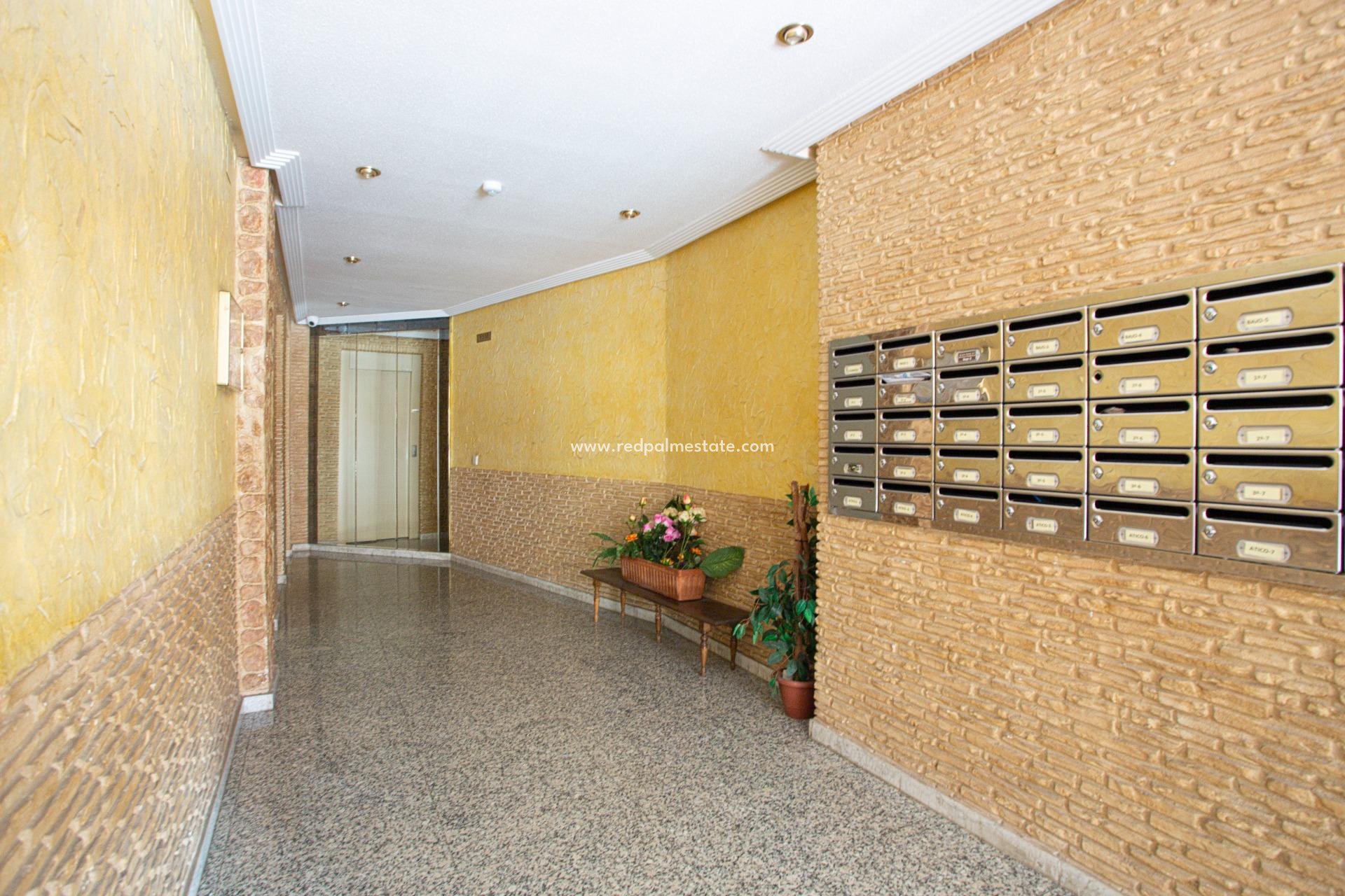 Reventa - Apartmentos -
Torrevieja - Centro Torrevieja