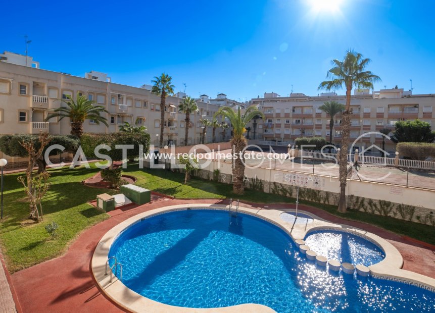 Reventa - Apartmentos -
Torrevieja - Centro Torrevieja