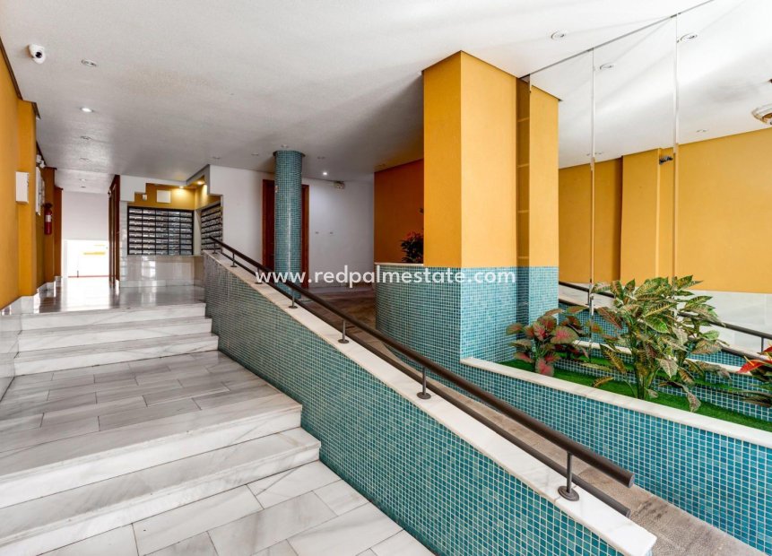 Reventa - Apartmentos -
Torrevieja - Centro Torrevieja