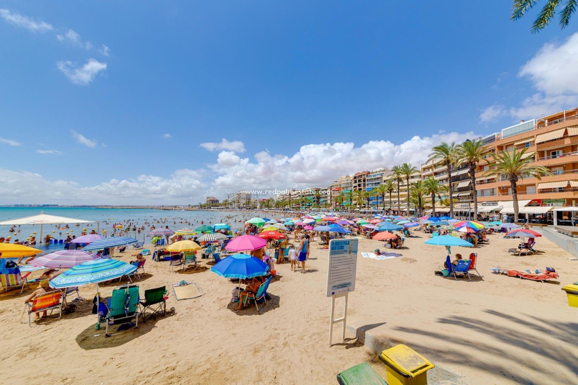 Reventa - Apartmentos -
Torrevieja - Centro Torrevieja