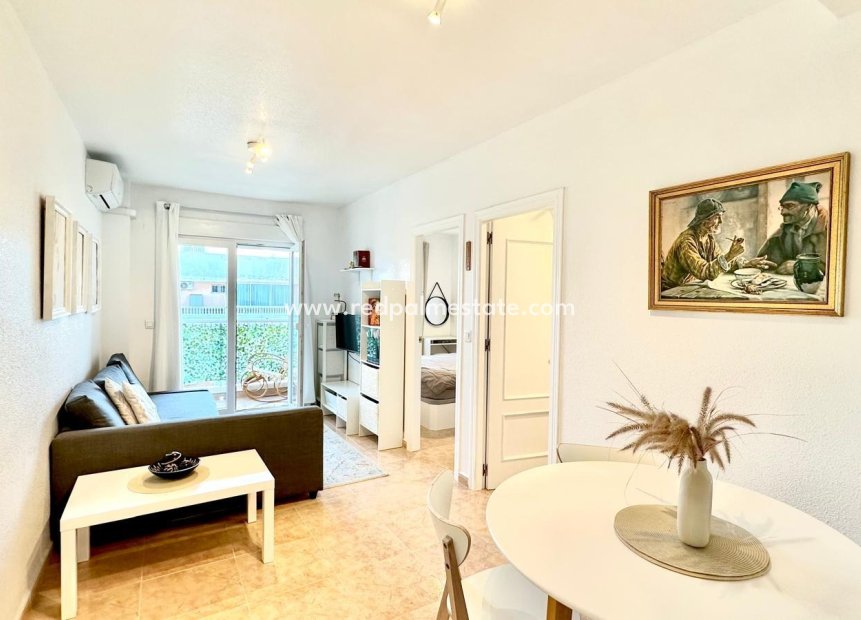 Reventa - Apartmentos -
Torrevieja - Centro Torrevieja