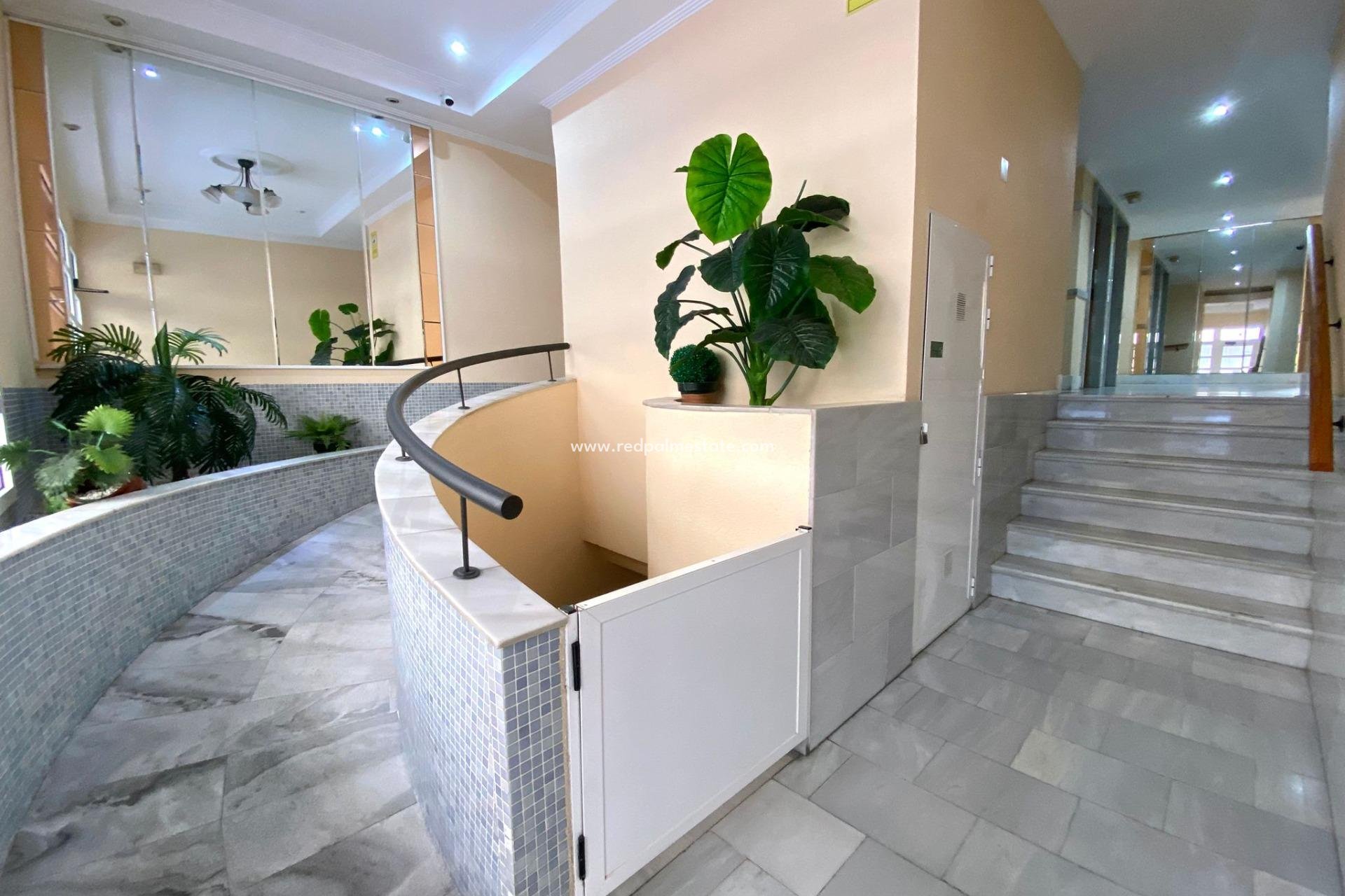 Reventa - Apartmentos -
Torrevieja - Centro Torrevieja