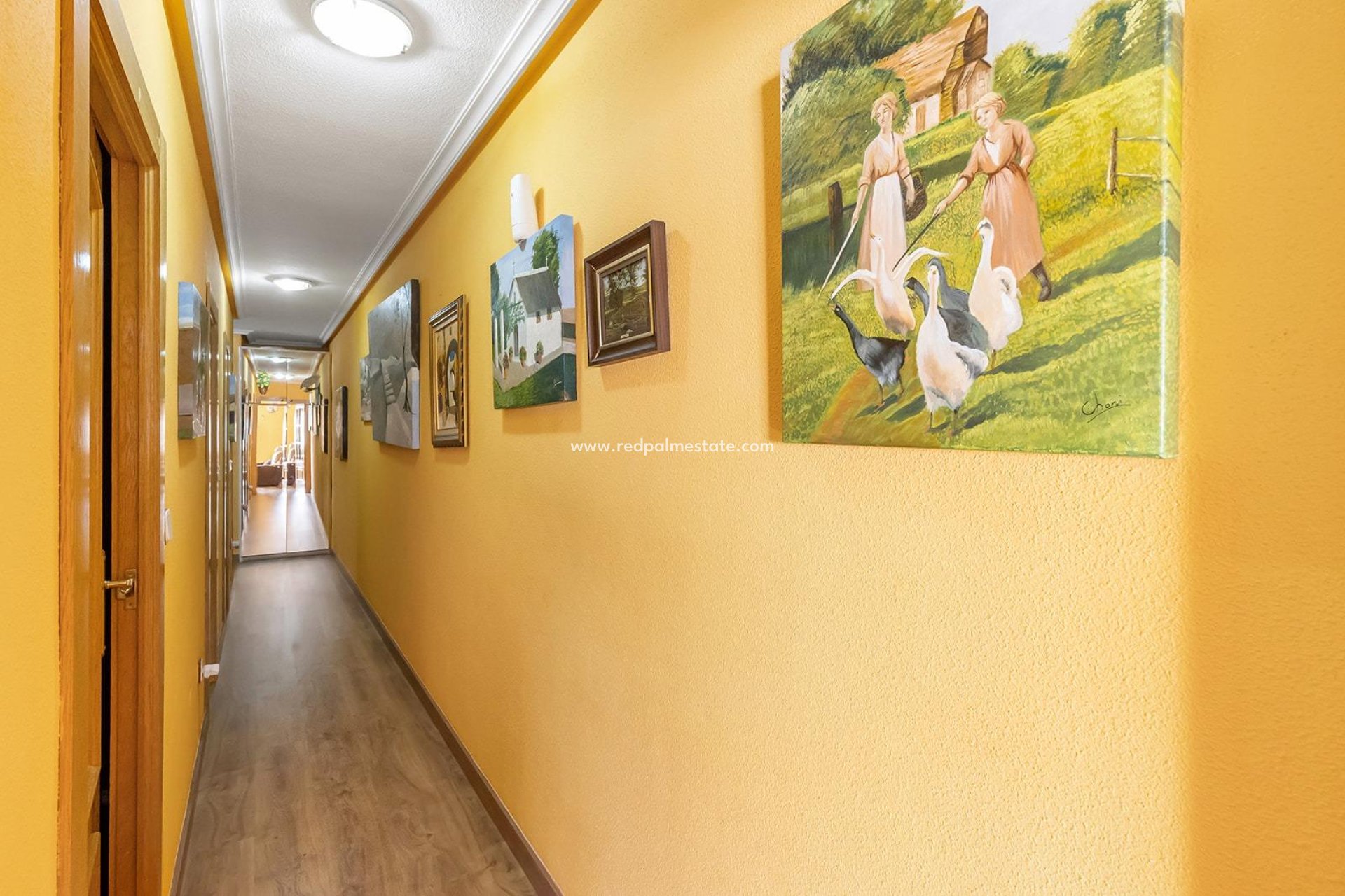 Reventa - Apartmentos -
Torrevieja - Centro Torrevieja