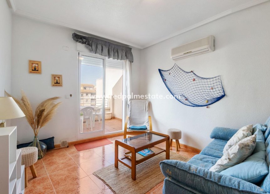 Reventa - Apartmentos -
Torrevieja - Centro Torrevieja