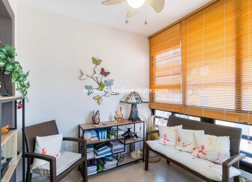 Reventa - Apartmentos -
Torrevieja - Centro Torrevieja