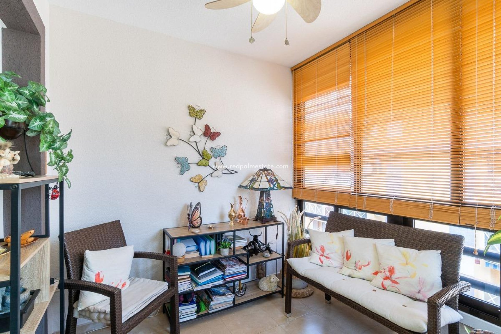 Reventa - Apartmentos -
Torrevieja - Centro Torrevieja