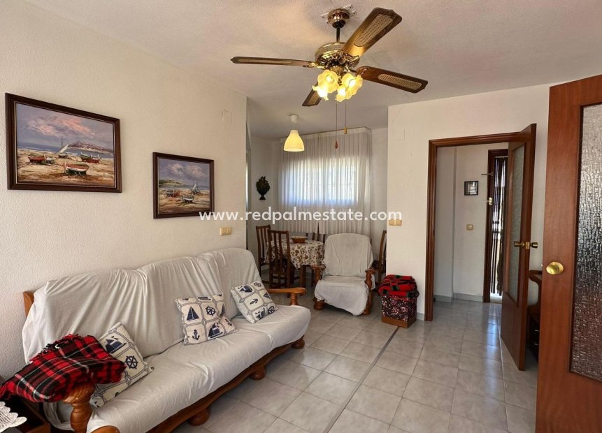 Reventa - Apartmentos -
Torrevieja - Centro Torrevieja