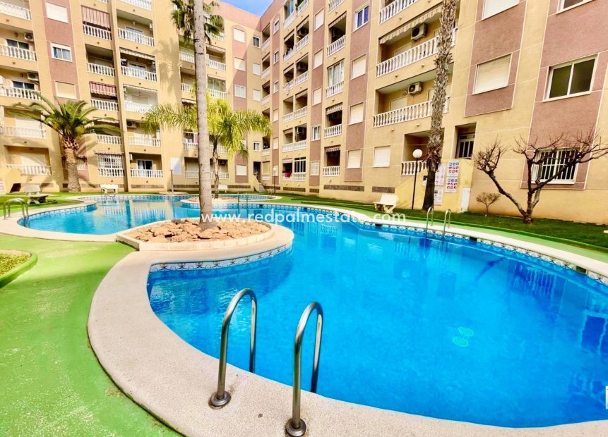Reventa - Apartmentos -
Torrevieja - Centro Torrevieja