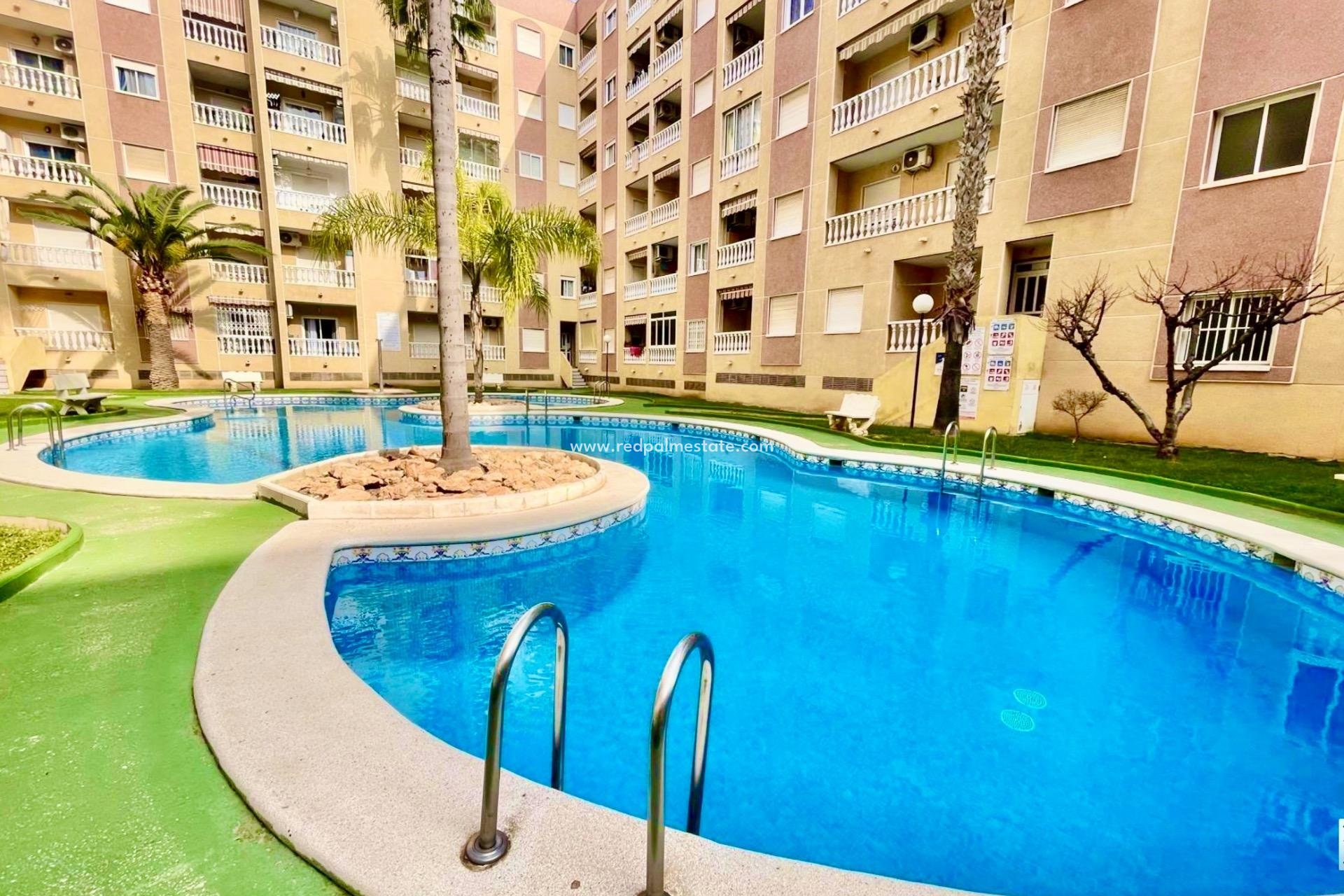Reventa - Apartmentos -
Torrevieja - Centro Torrevieja
