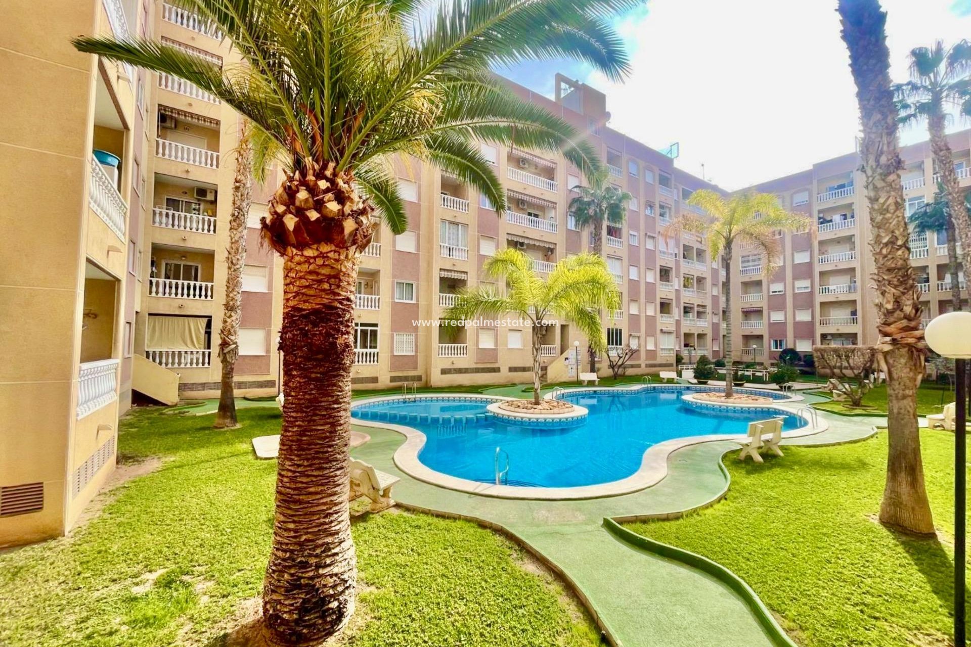 Reventa - Apartmentos -
Torrevieja - Centro Torrevieja