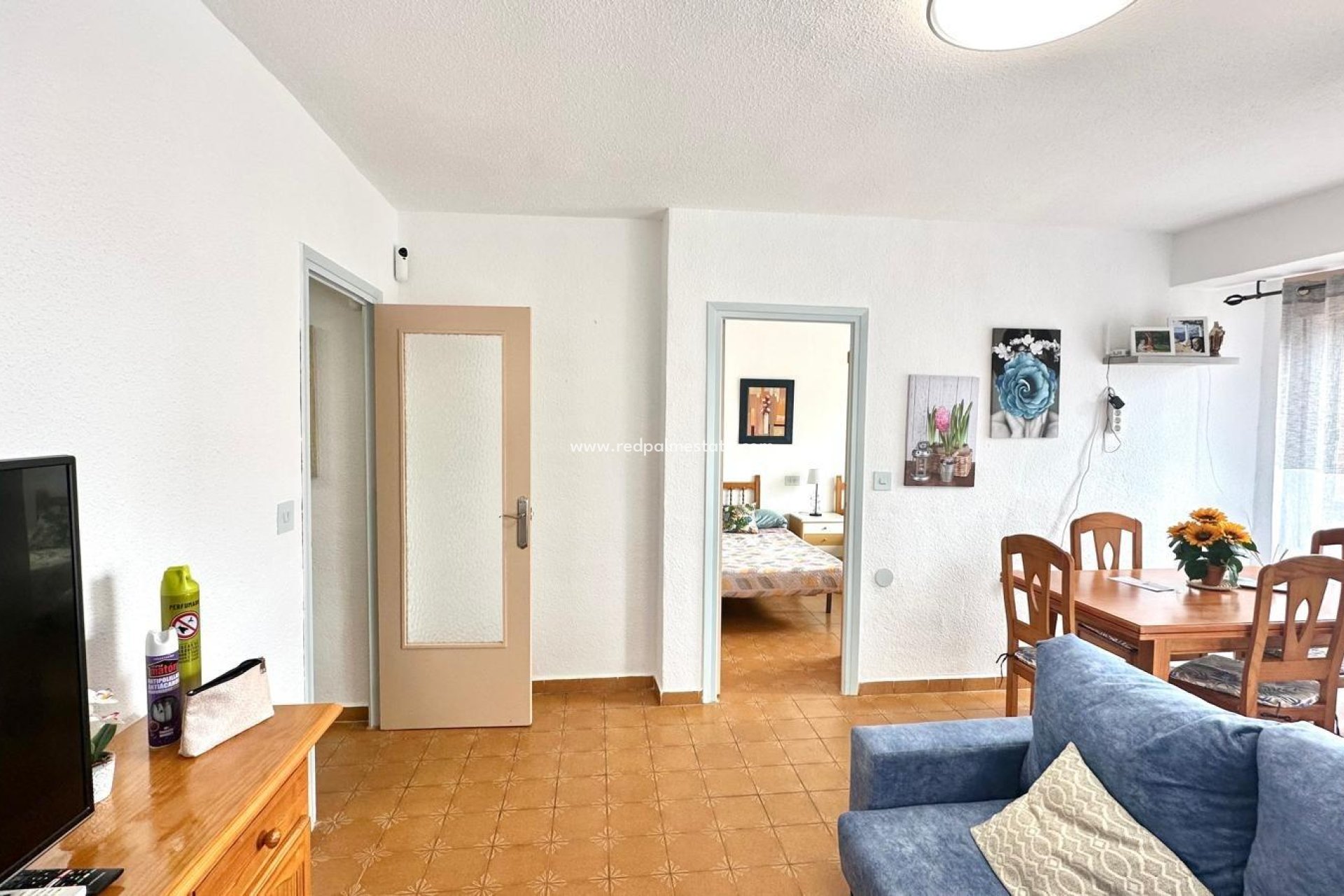 Reventa - Apartmentos -
Torrevieja - Centro Torrevieja