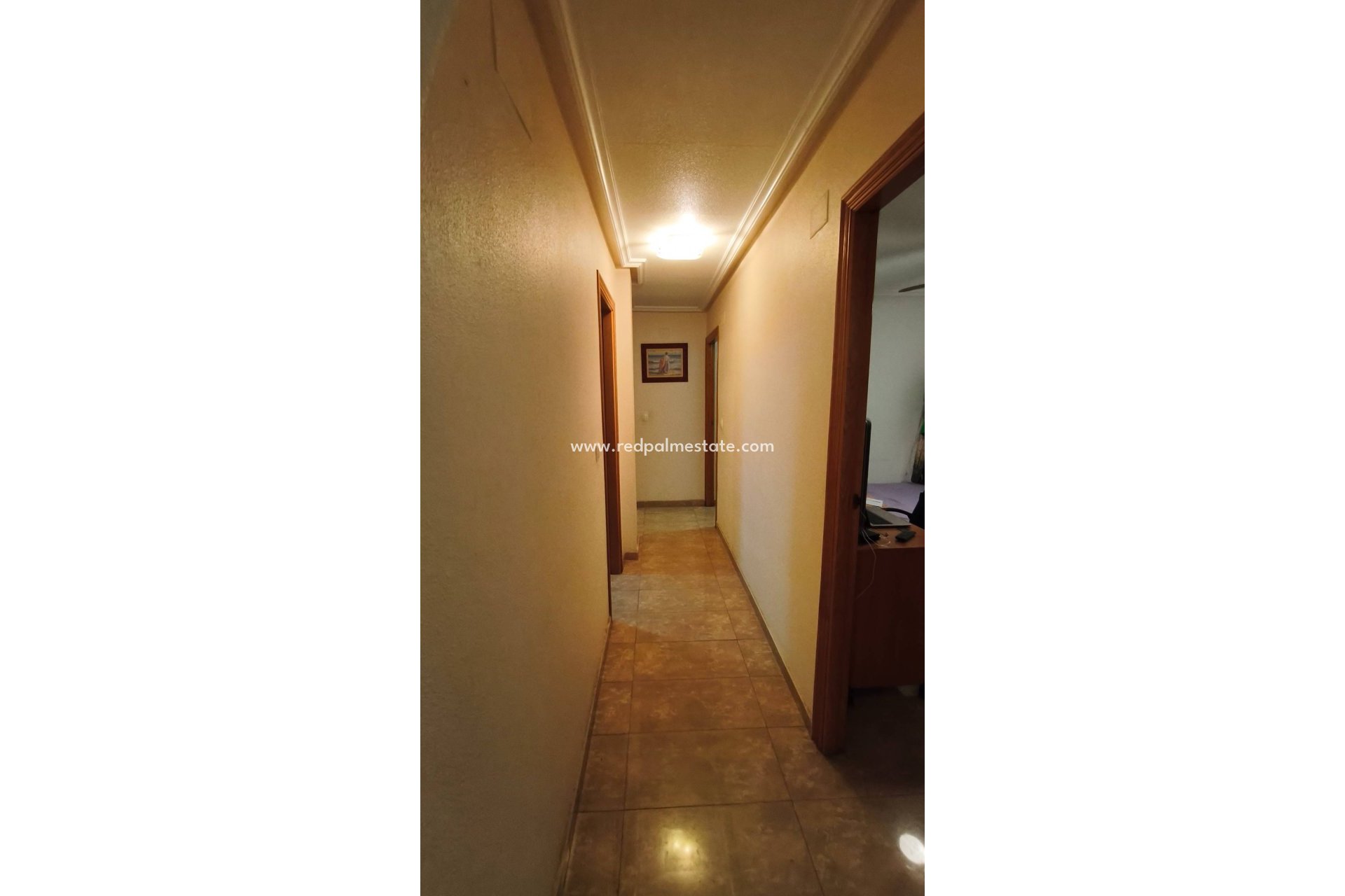 Reventa - Apartmentos -
Torrevieja - Centro Torrevieja