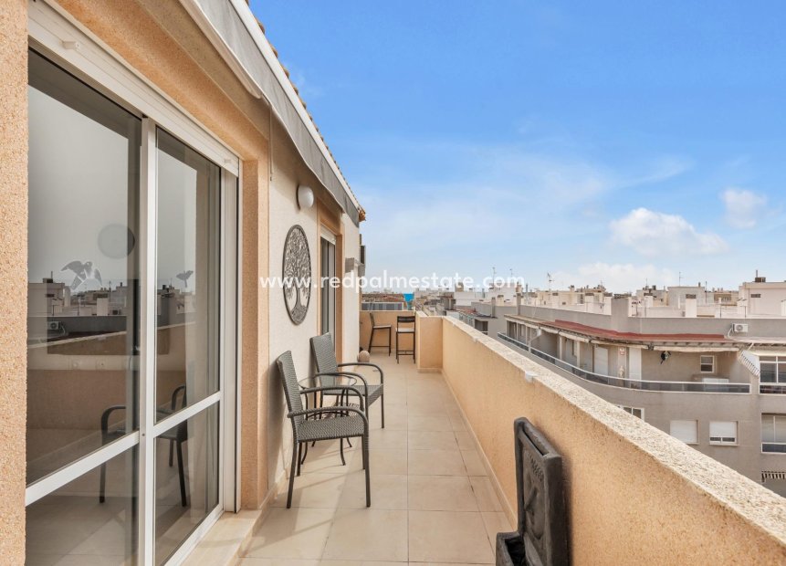 Reventa - Apartmentos -
Torrevieja - Centro Torrevieja