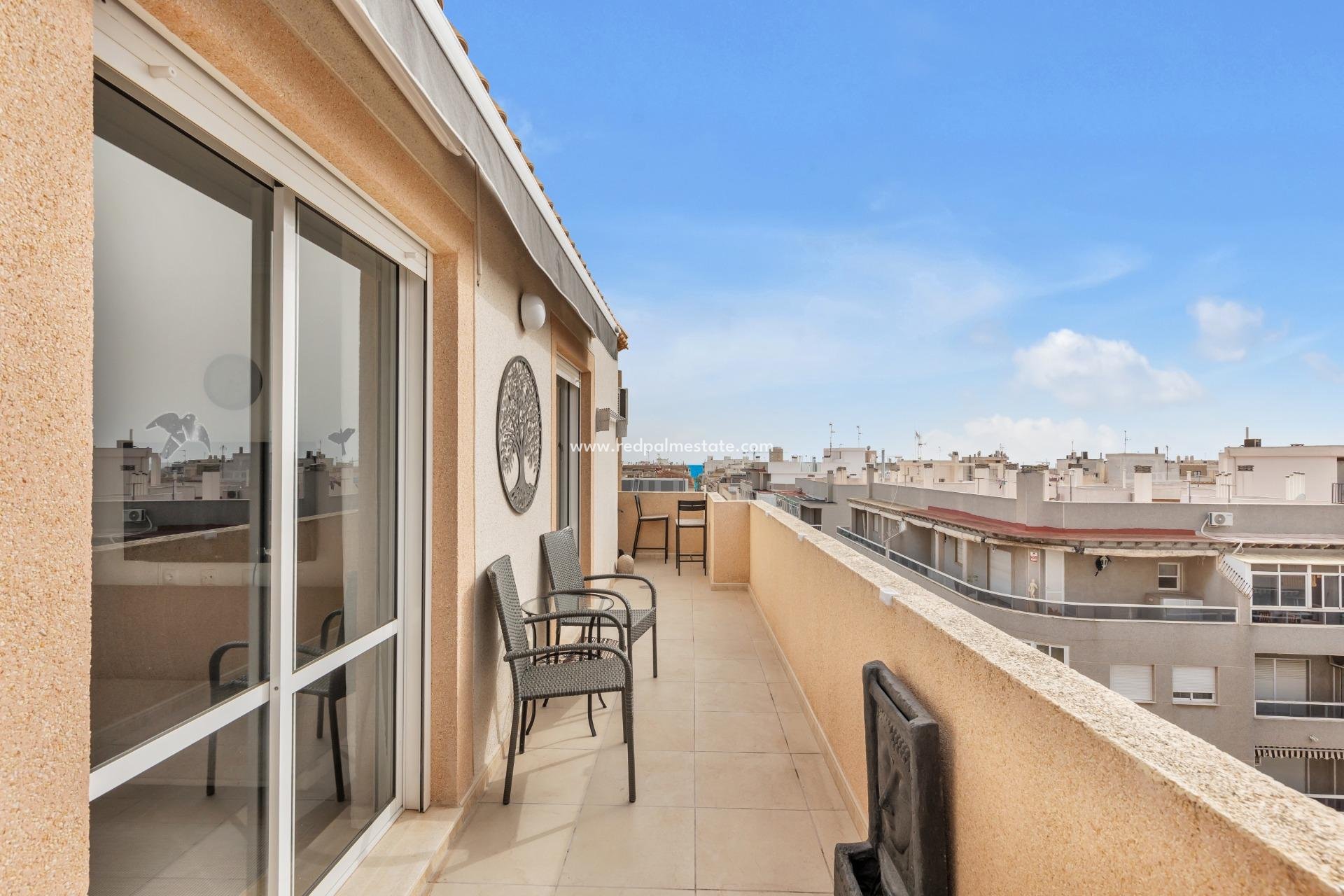 Reventa - Apartmentos -
Torrevieja - Centro Torrevieja