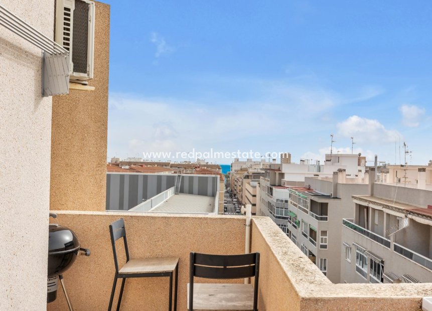 Reventa - Apartmentos -
Torrevieja - Centro Torrevieja