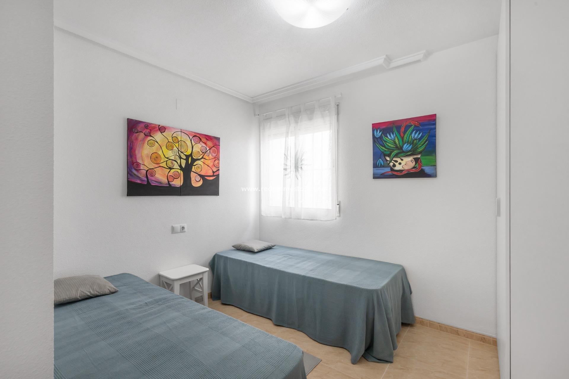 Reventa - Apartmentos -
Torrevieja - Centro Torrevieja