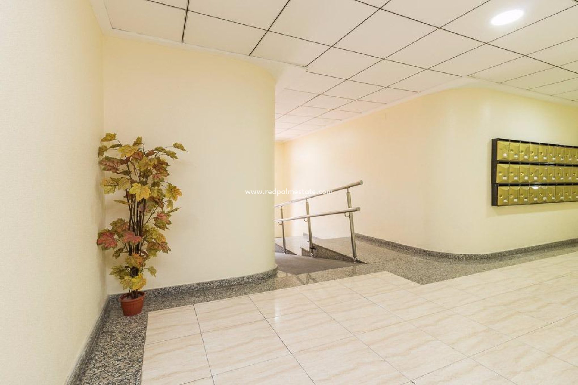 Reventa - Apartmentos -
Torrevieja - Centro Torrevieja