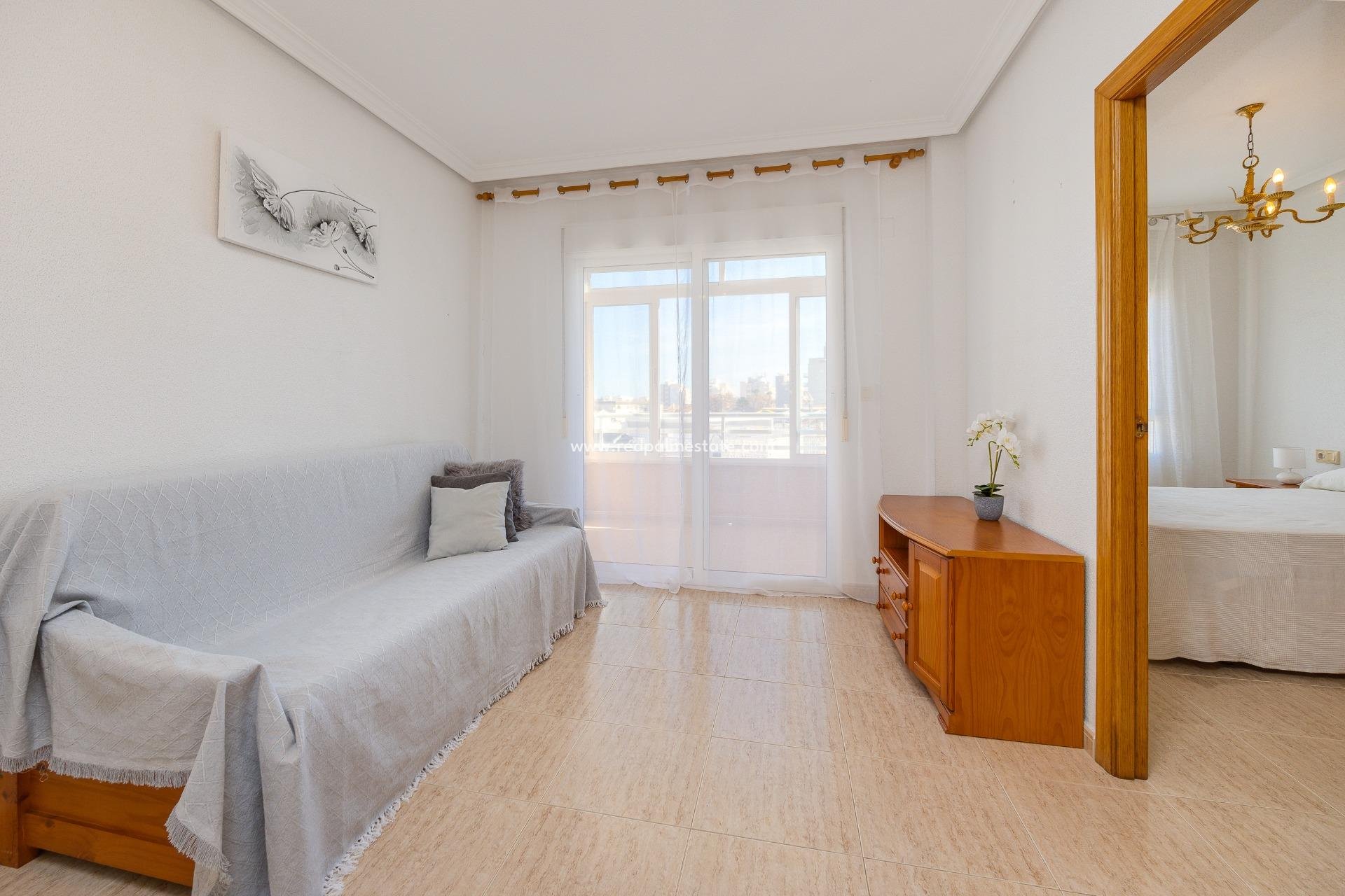 Reventa - Apartmentos -
Torrevieja - Centro Torrevieja