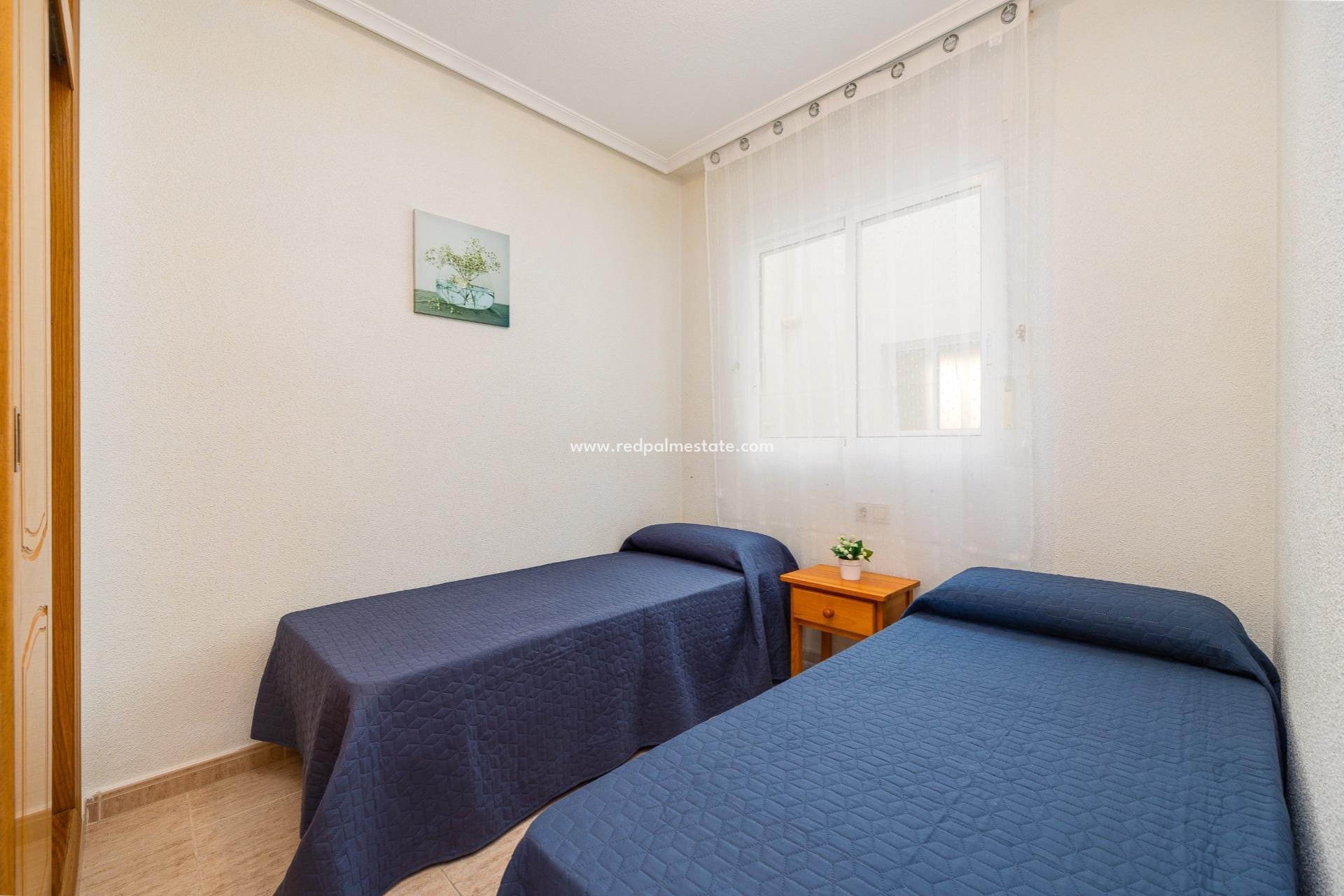 Reventa - Apartmentos -
Torrevieja - Centro Torrevieja