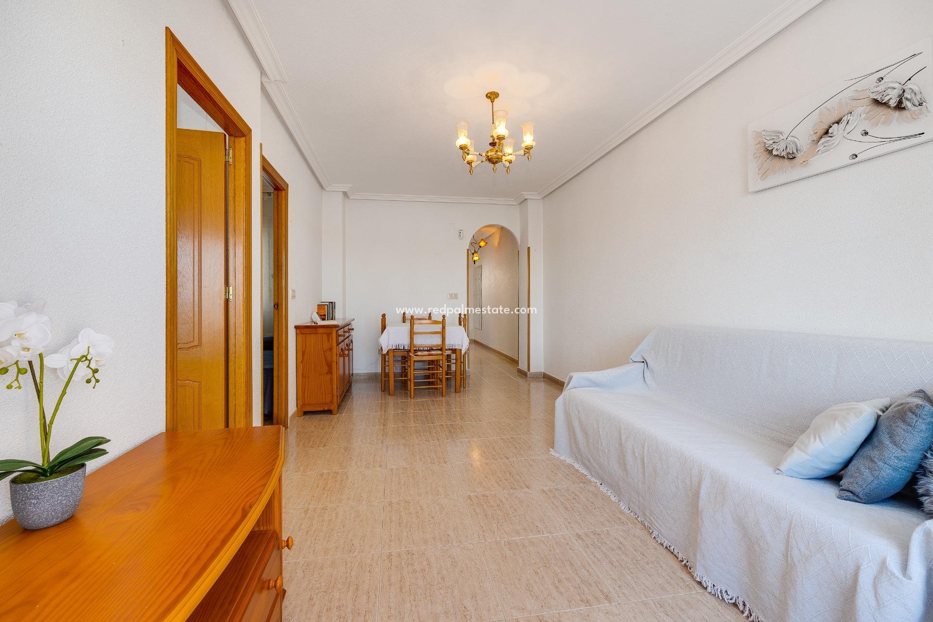 Reventa - Apartmentos -
Torrevieja - Centro Torrevieja